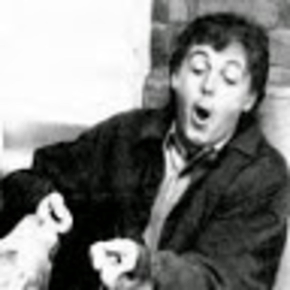 Meet your Posher, Mich - Picture 1 of 1